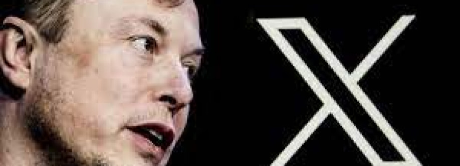 Elon Musk Fans Cover Image