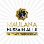 Maulana Hussain Ali Profile Picture