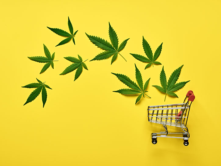 Cannabis Marketing and SEO Agency: Growing Your Cannabis Brand the Right Way - Bcrelx