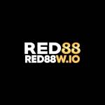red88wio Profile Picture