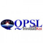 qpslltd Profile Picture