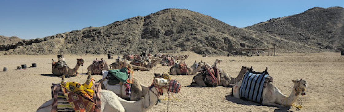 redseahappytours Cover Image