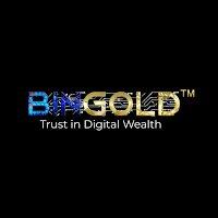 Why Are Investors Choosing BINGOLD for Digital Wealth? | SocialyTime