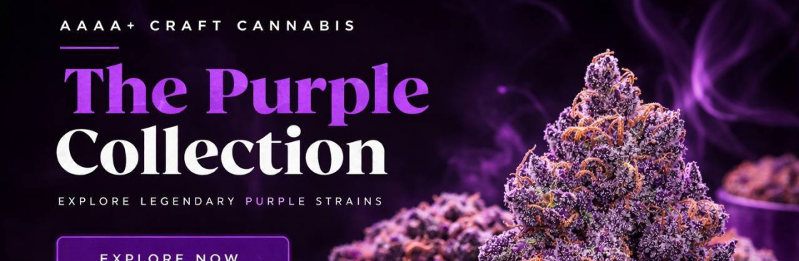 The Purple Shop Cannabis Cover Image