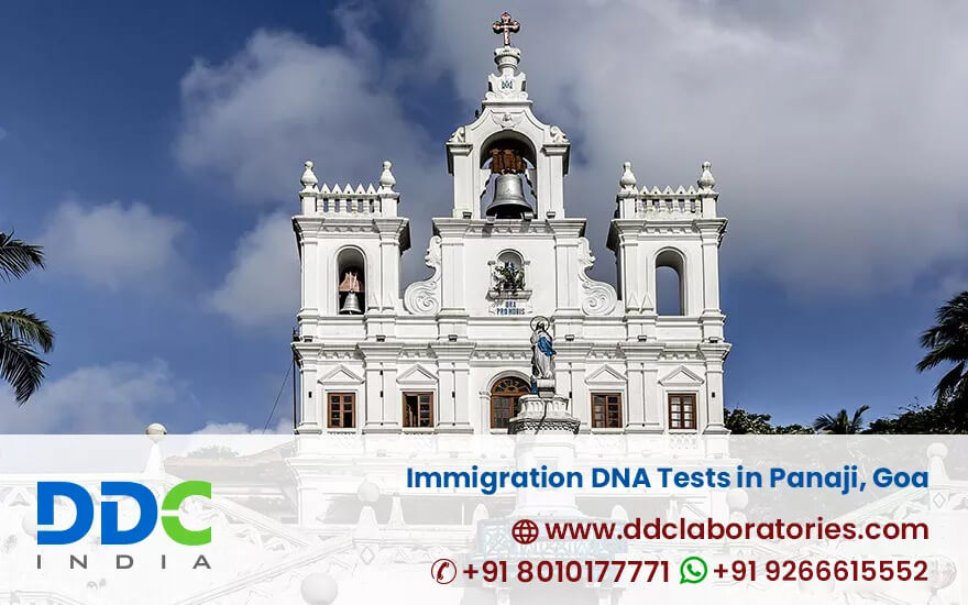 Immigration DNA Tests in Panaji, Goa - DDC Laboratories India