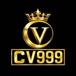 playcv999com1 Profile Picture
