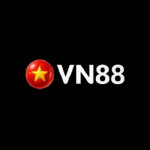 vn881jpnet Profile Picture