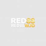 red88wio1 Profile Picture