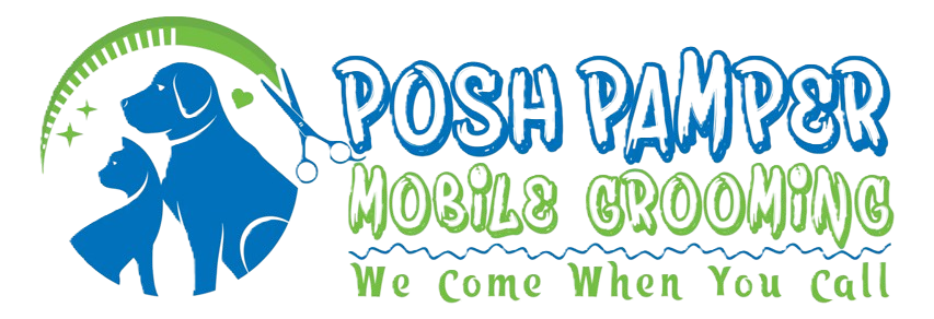 Same Day Dog Grooming Services in Dubai | Posh Pamper