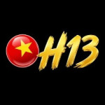 h13solutions Profile Picture