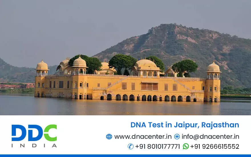 DNA Test in Jaipur, Rajasthan | DNA Test Cost in Jaipur