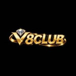 v8clubtools Profile Picture