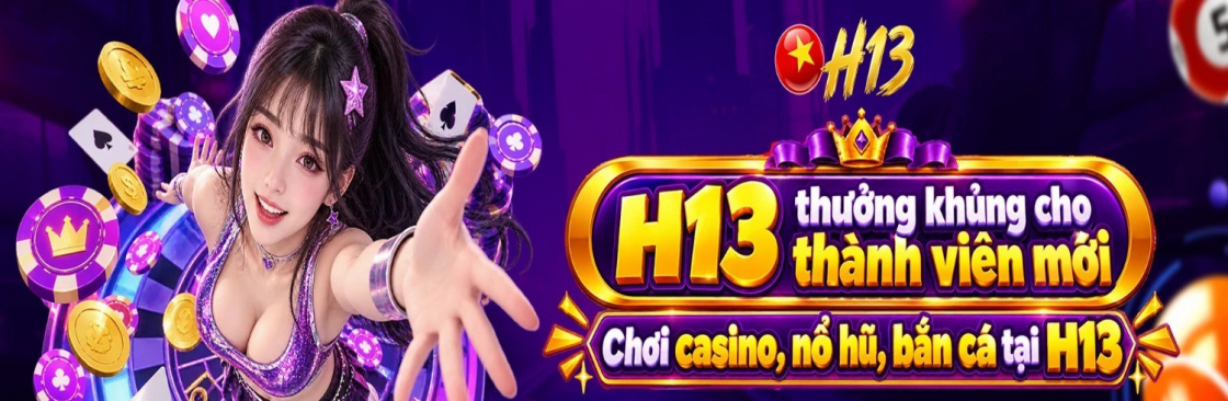 h13solutions Cover Image