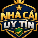 topnhacaiuytin3anet Profile Picture